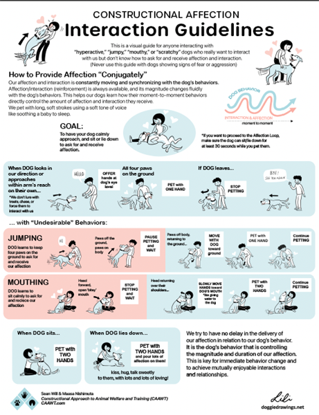 Interaction Guidelines